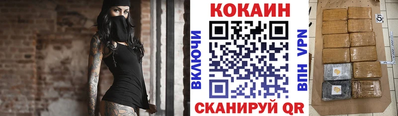 Cocaine Fish Scale  маркетплейс какой сайт  Солнечногорск 