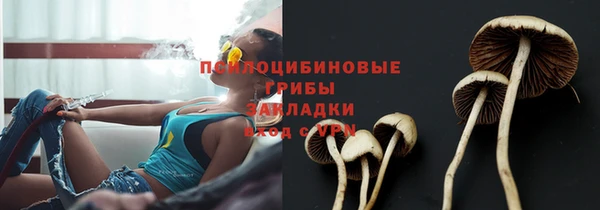 Альфа ПВП Алзамай