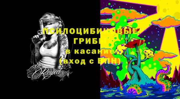 Альфа ПВП Алзамай