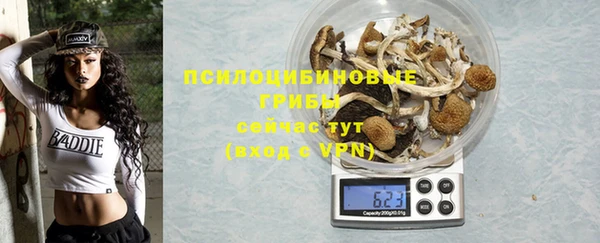 Альфа ПВП Алзамай
