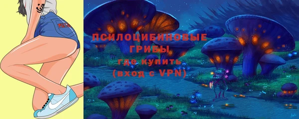 Альфа ПВП Алзамай