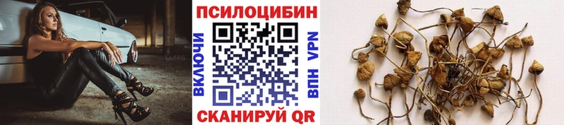ссылка на мегу зеркало  где можно купить наркотик  Солнечногорск  Псилоцибиновые грибы ЛСД 