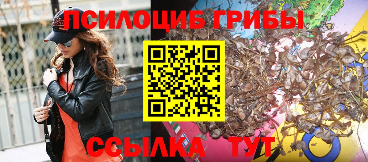  Кокаин Солнечногорск